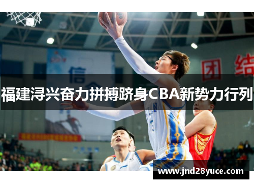 福建浔兴奋力拼搏跻身CBA新势力行列