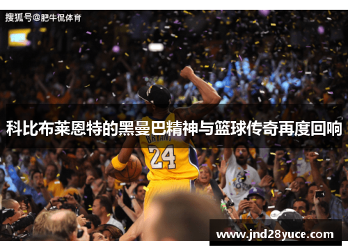 科比布莱恩特的黑曼巴精神与篮球传奇再度回响